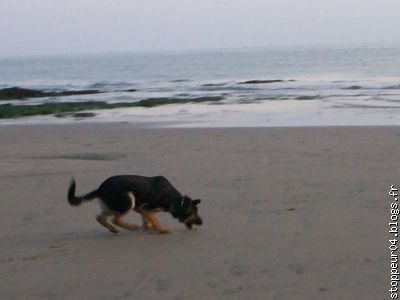 Eirone aime courir sur le sable